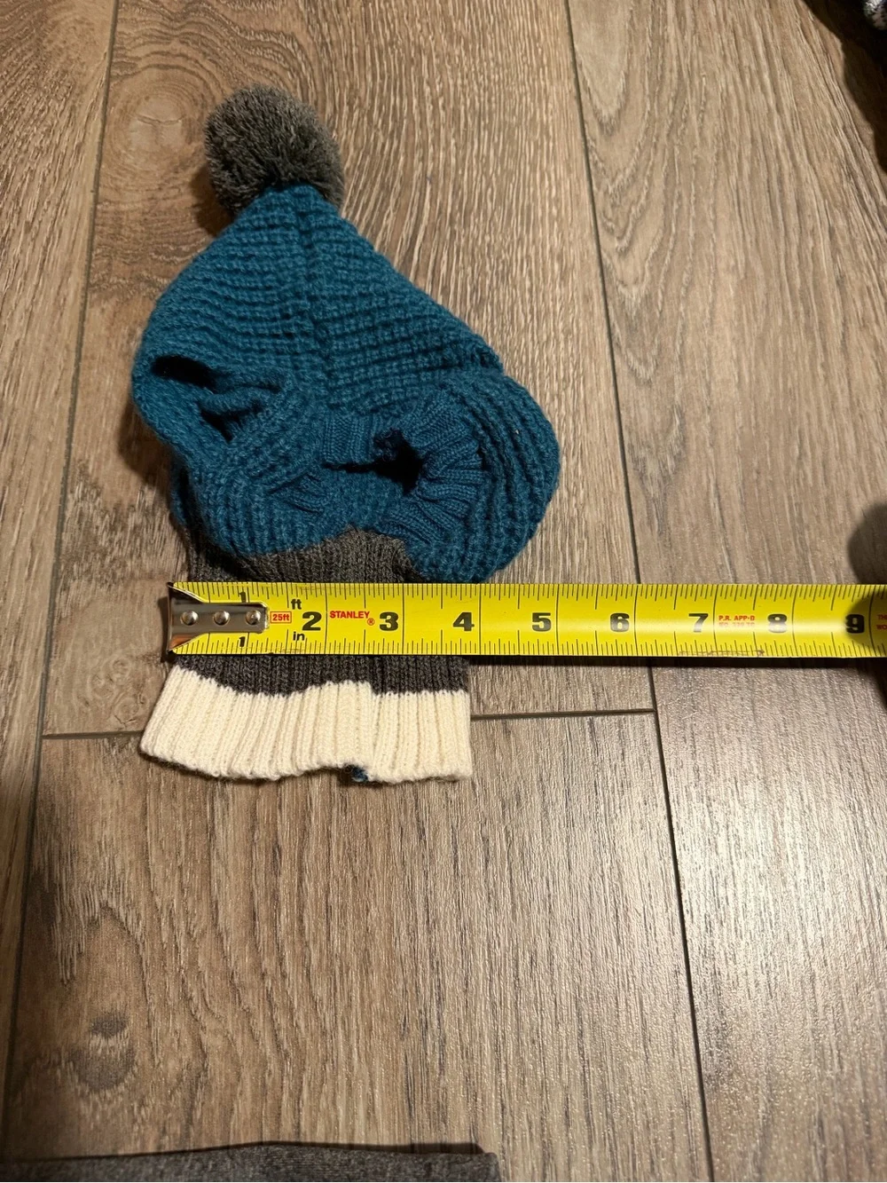 N/A dog hat